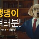 펫플래닛 이미지