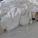 몽글몽글# 이미지