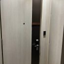 소노펠리체 델피노 이미지