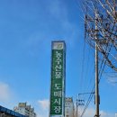 농수산물도매시장입구 버스정류장 옆 | [청주 가볼만한곳] 청주 농수산물도매시장(ft.오징어회,딸기)