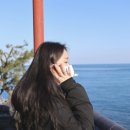 술리당