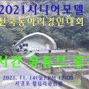 한국시니어문화진흥원 이미지