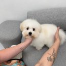 우월한스테이 이미지