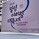 GS25 밀양송림점 | 밀양아리랑대축제 노홍철 토크콘서트 축제정보 프로그램 후기