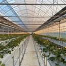 소현농장 이미지