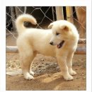 은선 Daum카페