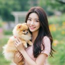 슈즈핏 | 강아지 신발 추천, 후기, 비교 총정리