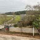 마한농원 이미지