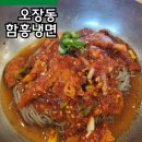을지로4가역 8번 출구 | 챗 gpt가 추천한 서울 3대 함흥냉면 맛집 - 오장동 함흥냉면 내돈내산 후기