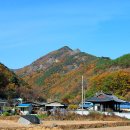 영천 티스토리