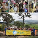 ㈜엔젤코리아 이미지