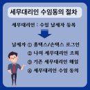 세무법인세조 이미지