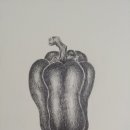 보태니컬 아트 초급 이미지