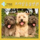 구리동물병원