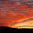 붉은노을 이미지