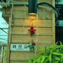 코코테로 이미지