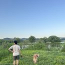 크래프트개러지 | 물의 정원 그리고 여름