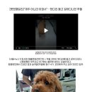 강남덴탈랩 네이버블로그