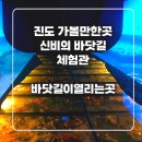 진도보배섬특산품 | 진도 신비의 바닷길 체험관 후기 |입장료 무료