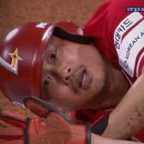 위즈디아 | 2025 다이어리는 야구로 도배되겠어