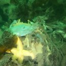 진목마을 이미지