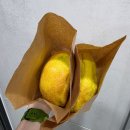 더현대서울 팝업 보따리제과점 메론빵 솔직 후기
