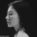 내세상 이미지