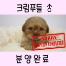 야옹아 멍멍해봐 아산점 이미지