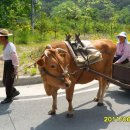 달구지마을 이미지