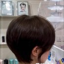 엠비헤어 네이버블로그