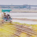 (주)강촌레일파크 이미지