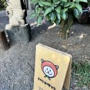 은하농장 | 제주 감귤체험 추천ㅣ은하감귤체험농장 강추 솔직후기(체험 및 수확 1만원)