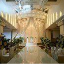 더화이트A 이미지