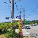 강산풍천민물장어