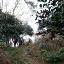 외연도둘레길 이미지