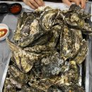 벌교수산 | 강서구수산시장 맛집 &#39;쌍둥이벌교횟집&#39; 추천! 내돈내산 후기