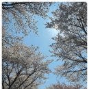 성대2리 이미지