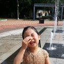 초2 여름방학 으뜸사이언스(9세) 호기심톡톡(7세)
