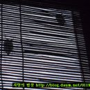 엄마떡볶이 이미지