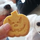 (주)마루세끼 네이버블로그