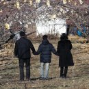 진배농장 이미지