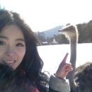 투더블유래쉬 | [군산] 대명동 투더블유래쉬 자연스러운 속눈썹 연장 잘하는곳 내추럴 컬러 래쉬 +언더래쉬