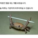 삼일꽃게식당