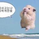 에이치아이 이미지