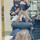다고운헤어 이미지