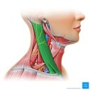 롯데골드로즈2차관리위원회 | 선릉역 필라테스 4회차 재활 PT, 체형교정 내돈내산 후기 RHB 필라테스 선릉점