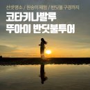 반딧불 - 강서구 강서로35길 47 | [코타키나발루 반딧불 투어] 솔직 후기 / "원숭이랑 반딧불 진짜 볼 수 있나요? " / 뚜아이 반딧불 투어