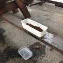 미니스톱 포천청계점 이미지