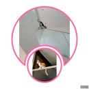 옛경춘로2 이미지