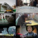 두꺼비미용실 - 평택시 송탄로 95 | 두꺼비미용실